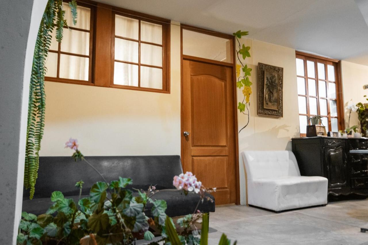 Hostel Luchy'S Country House Ica Zewnętrze zdjęcie