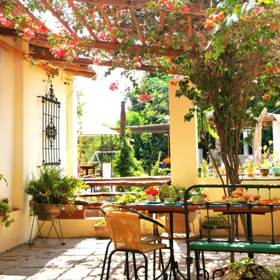 Hostel Luchy'S Country House Ica Zewnętrze zdjęcie